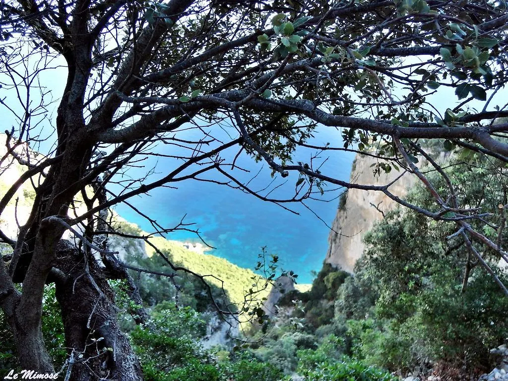 Appartamenti Le Mimose Santa Maria Navarrese Daire