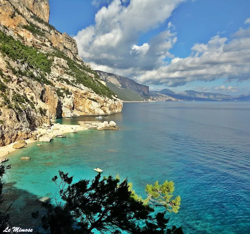 Lejlighed Appartamenti Le Mimose Santa Maria Navarrese Italien
