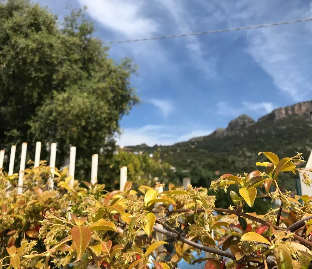 Appartamenti Le Mimose Santa Maria Navarrese